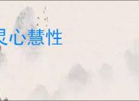 灵心慧性