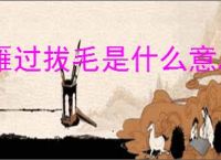 雁过拔毛是什么意思