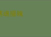 荡魂摄魄