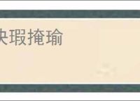 抉瑕掩瑜