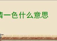清一色什么意思