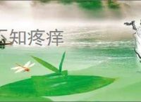 不知疼痒