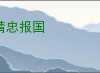 精忠报国