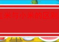 红米与小米的区别及优劣分析：如何选择最适合你的机型