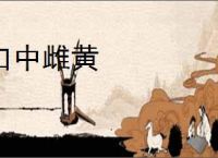 口中雌黄