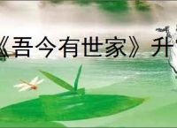 《吾今有世家》升官方式