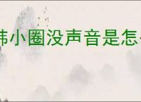 韩小圈没声音是怎么回事