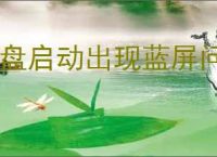 U盘启动出现蓝屏问题怎么回事