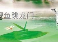 鲤鱼跳龙门