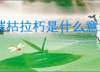 摧枯拉朽是什么意思