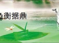 负衡据鼎