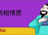 两相情愿
