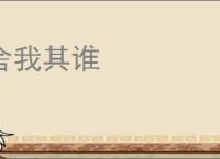 舍我其谁