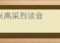 兴高采烈读音