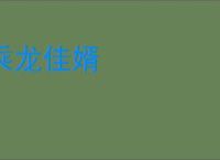 乘龙佳婿