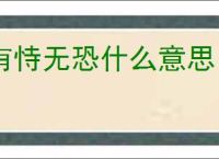 有恃无恐什么意思