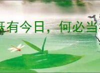 既有今日，何必当初