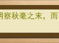 明察秋毫之末，而不见舆薪