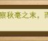 明察秋毫之末，而不见舆薪