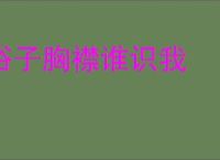 俗子胸襟谁识我