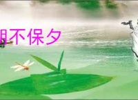 朝不保夕