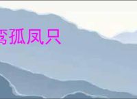 鸾孤凤只
