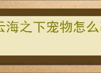 云海之下宠物怎么获得,云海之下宠物培养技巧指南