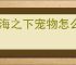云海之下宠物怎么获得,云海之下宠物培养技巧指南
