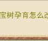 宝宝树孕育怎么改怀孕日期