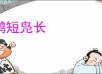 鹤短凫长