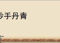 妙手丹青