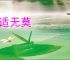 无适无莫