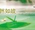 安然如故