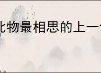 此物最相思的上一句