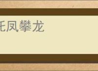 托凤攀龙