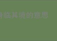 身临其境的意思