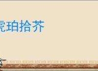 虎珀拾芥