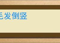 毛发倒竖