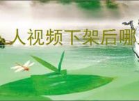 人人视频下架后哪里能看美剧