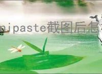 Snipaste截图后怎样添加模糊效果