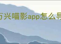 万兴喵影app怎么导入音频