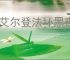 《艾尔登法环黑夜君临》是否有单人模式