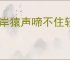 两岸猿声啼不住轻舟已过万重山的意思