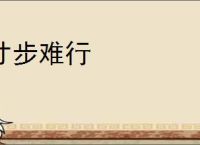 寸步难行