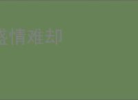 盛情难却