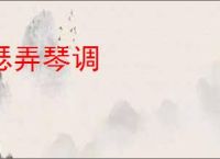 瑟弄琴调