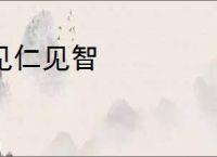 见仁见智