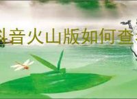 抖音火山版如何查看火苗价值