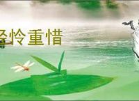 轻怜重惜