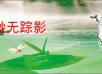 渺无踪影